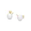 Kendra Scott Earrings | Cathleen 14K Yellow Gold Stud Earrings In Pearl